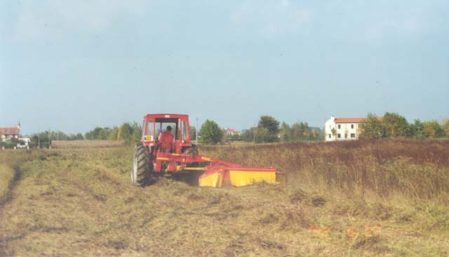 Foto01