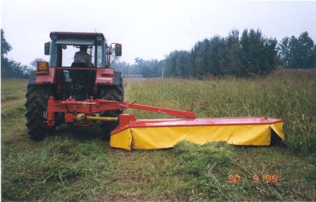 Foto11